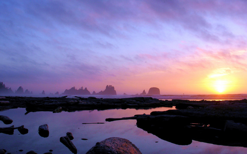 Shi Shi Beach, Olympic National Park, Washington, United States Shi Shi Beach, Olympic National Park, Washington, United States